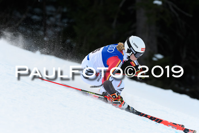 FIS Riesenslalom, ATA; Bay. Meisterschaft, Damen + Herren, 24.01.2020