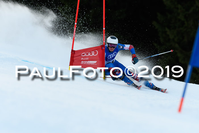 FIS Riesenslalom, ATA; Bay. Meisterschaft, Damen + Herren, 24.01.2020