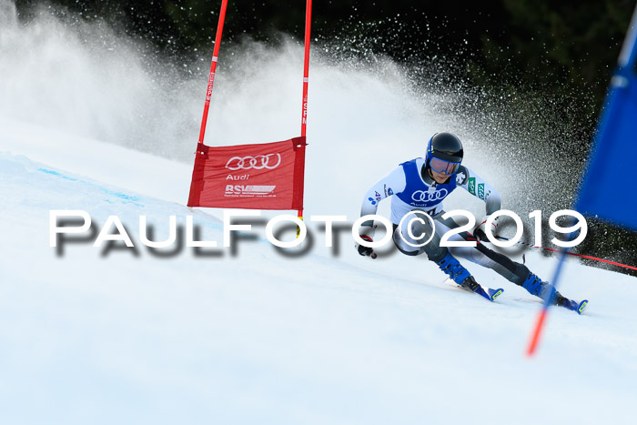 FIS Riesenslalom, ATA; Bay. Meisterschaft, Damen + Herren, 24.01.2020