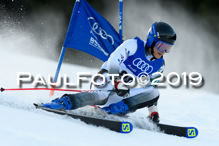 FIS Riesenslalom, ATA; Bay. Meisterschaft, Damen + Herren, 24.01.2020