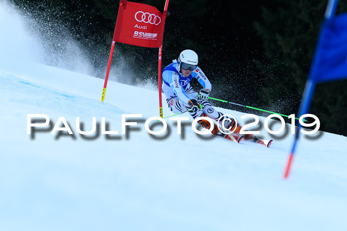 FIS Riesenslalom, ATA; Bay. Meisterschaft, Damen + Herren, 24.01.2020