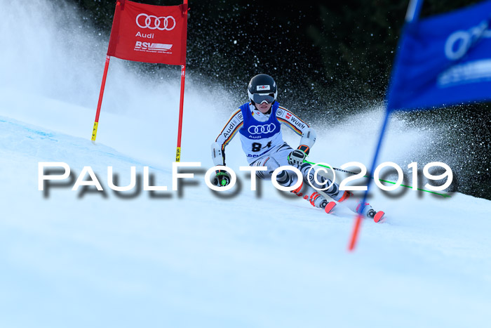 FIS Riesenslalom, ATA; Bay. Meisterschaft, Damen + Herren, 24.01.2020