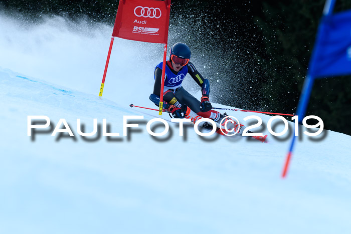 FIS Riesenslalom, ATA; Bay. Meisterschaft, Damen + Herren, 24.01.2020