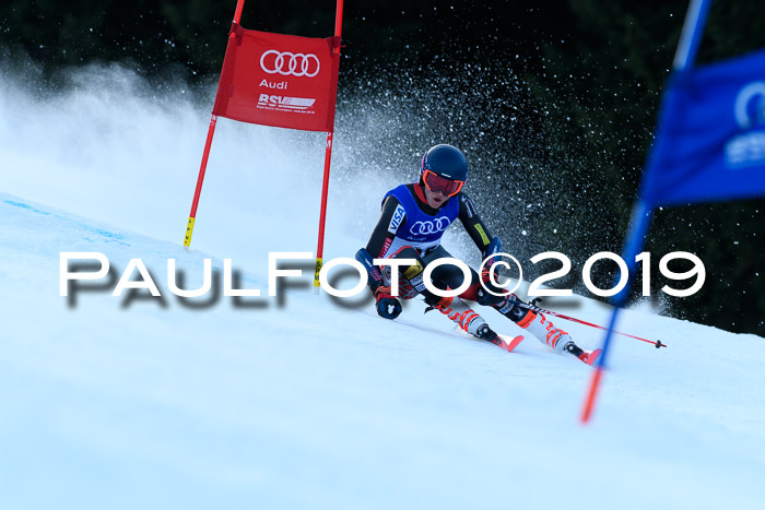 FIS Riesenslalom, ATA; Bay. Meisterschaft, Damen + Herren, 24.01.2020