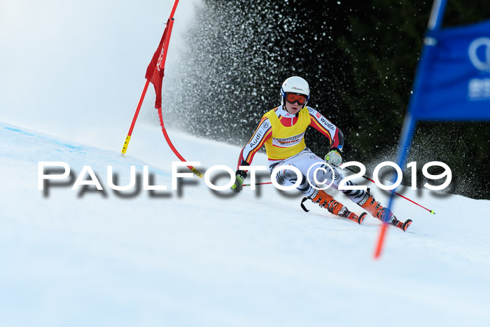 FIS Riesenslalom, ATA; Bay. Meisterschaft, Damen + Herren, 24.01.2020