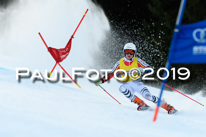 FIS Riesenslalom, ATA; Bay. Meisterschaft, Damen + Herren, 24.01.2020