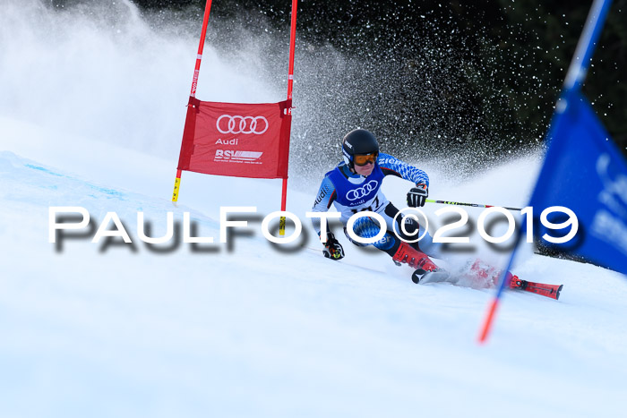 FIS Riesenslalom, ATA; Bay. Meisterschaft, Damen + Herren, 24.01.2020