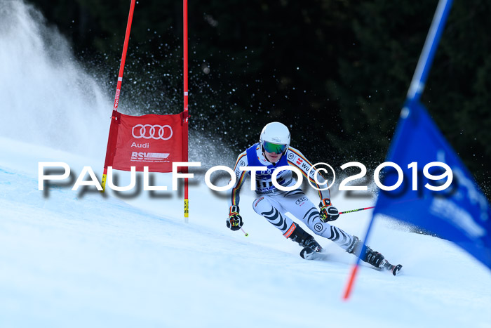 FIS Riesenslalom, ATA; Bay. Meisterschaft, Damen + Herren, 24.01.2020