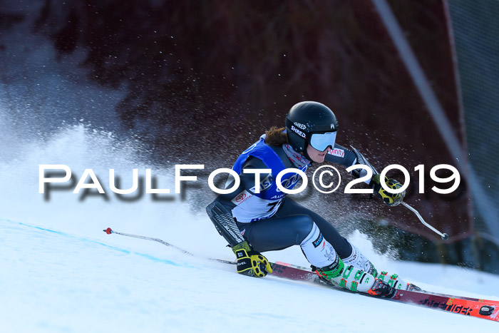 FIS Riesenslalom, ATA; Bay. Meisterschaft, Damen + Herren, 24.01.2020