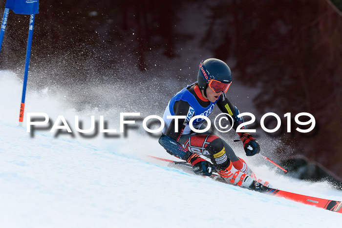 FIS Riesenslalom, ATA; Bay. Meisterschaft, Damen + Herren, 24.01.2020