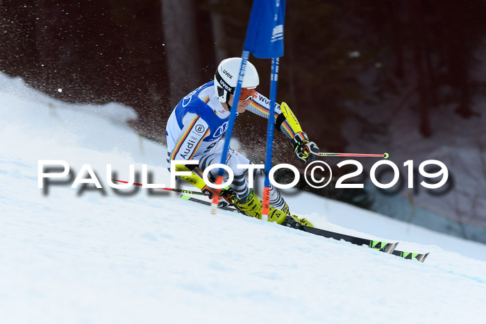 FIS Riesenslalom, ATA; Bay. Meisterschaft, Damen + Herren, 24.01.2020