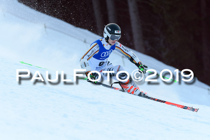 FIS Riesenslalom, ATA; Bay. Meisterschaft, Damen + Herren, 24.01.2020