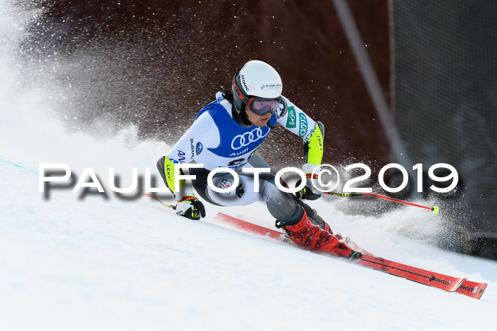 FIS Riesenslalom, ATA; Bay. Meisterschaft, Damen + Herren, 24.01.2020