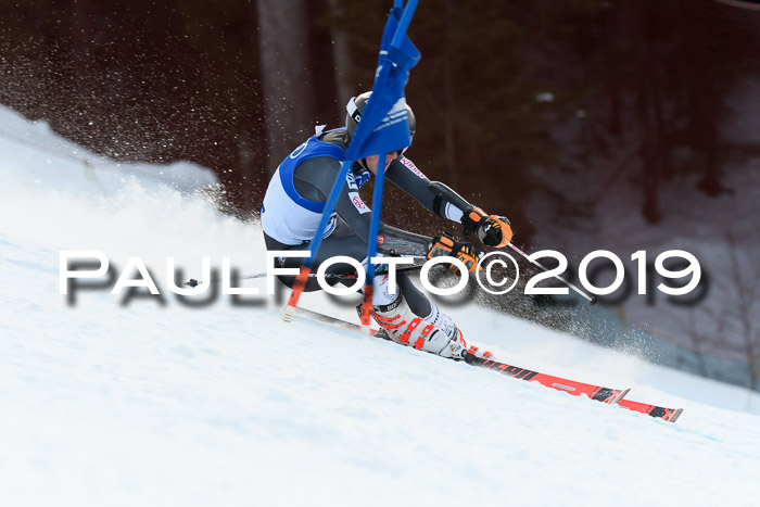 FIS Riesenslalom, ATA; Bay. Meisterschaft, Damen + Herren, 24.01.2020