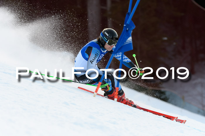 FIS Riesenslalom, ATA; Bay. Meisterschaft, Damen + Herren, 24.01.2020