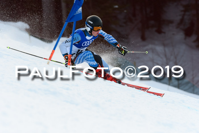 FIS Riesenslalom, ATA; Bay. Meisterschaft, Damen + Herren, 24.01.2020