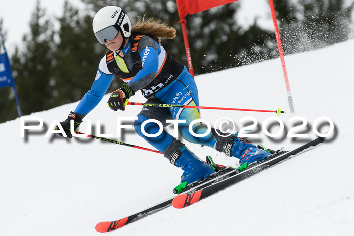 Ziener Cup WF u. U12 Kids Cross RSX 25.01.2020