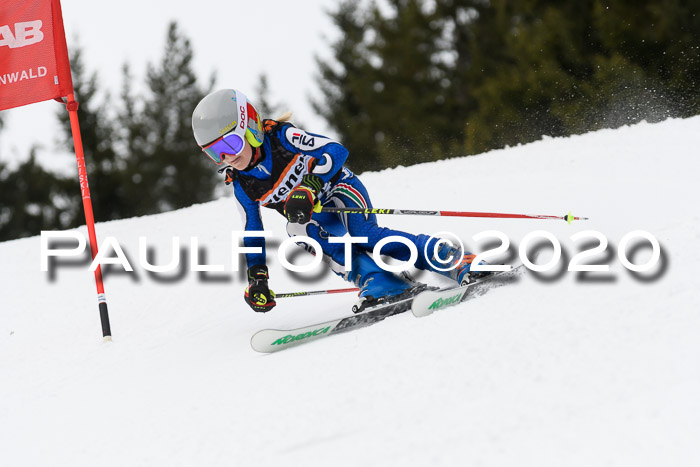 Ziener Cup WF u. U12 Kids Cross RSX 25.01.2020