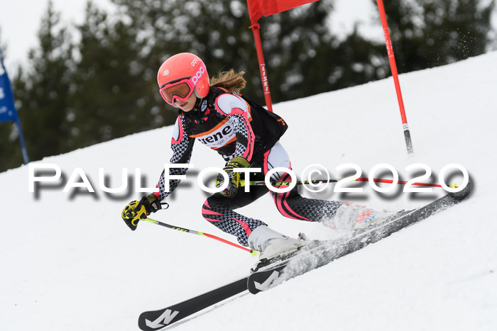 Ziener Cup WF u. U12 Kids Cross RSX 25.01.2020