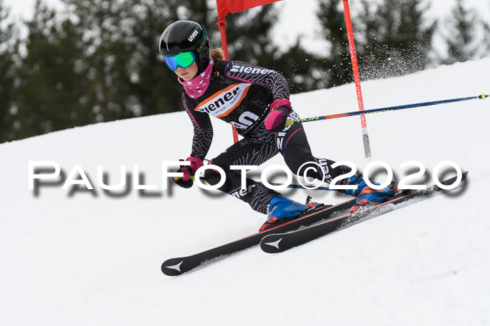 Ziener Cup WF u. U12 Kids Cross RSX 25.01.2020