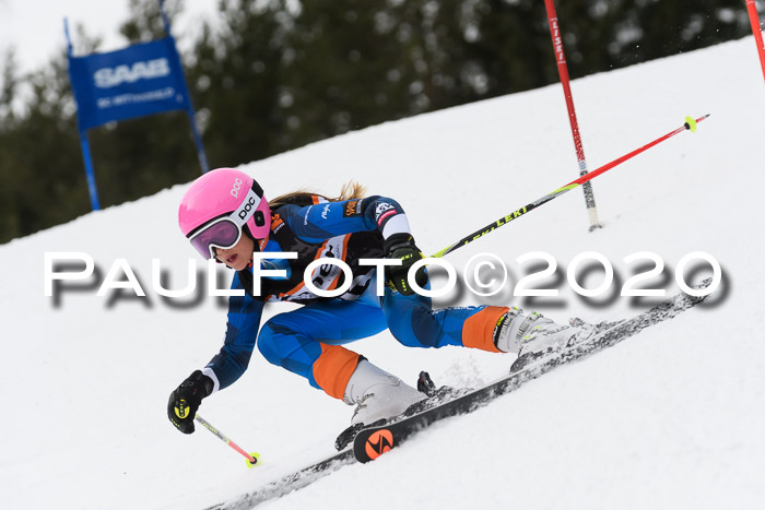 Ziener Cup WF u. U12 Kids Cross RSX 25.01.2020