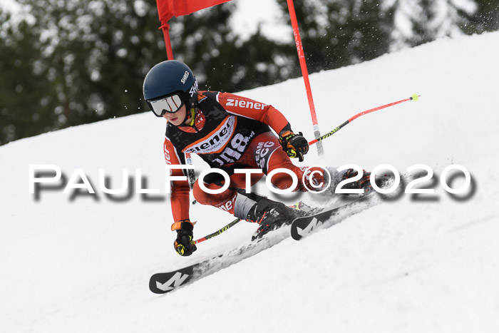 Ziener Cup WF u. U12 Kids Cross RSX 25.01.2020