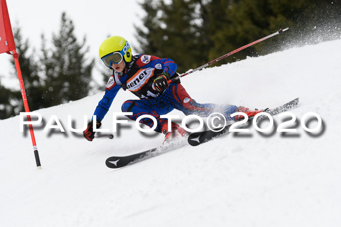 Ziener Cup WF u. U12 Kids Cross RSX 25.01.2020