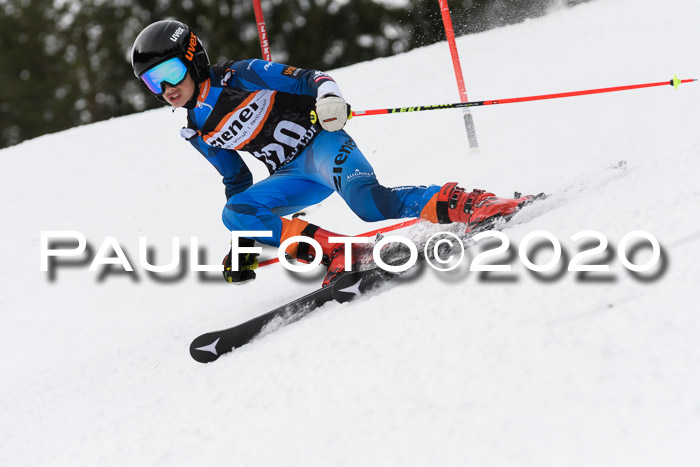 Ziener Cup WF u. U12 Kids Cross RSX 25.01.2020