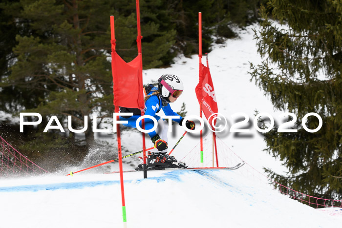 Ziener Cup WF u. U12 Kids Cross RSX 25.01.2020