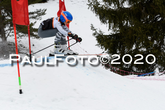 Ziener Cup WF u. U12 Kids Cross RSX 25.01.2020