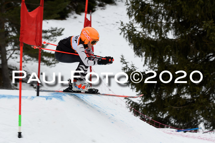 Ziener Cup WF u. U12 Kids Cross RSX 25.01.2020