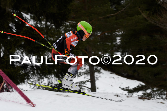 Ziener Cup WF u. U12 Kids Cross RSX 25.01.2020