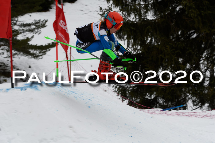 Ziener Cup WF u. U12 Kids Cross RSX 25.01.2020