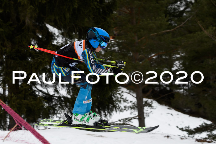 Ziener Cup WF u. U12 Kids Cross RSX 25.01.2020