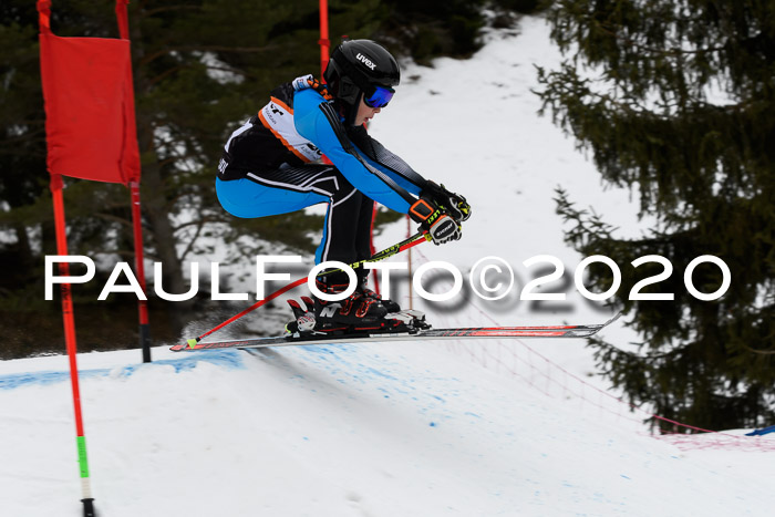 Ziener Cup WF u. U12 Kids Cross RSX 25.01.2020