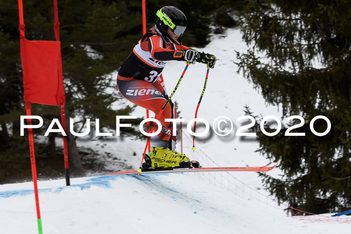 Ziener Cup WF u. U12 Kids Cross RSX 25.01.2020