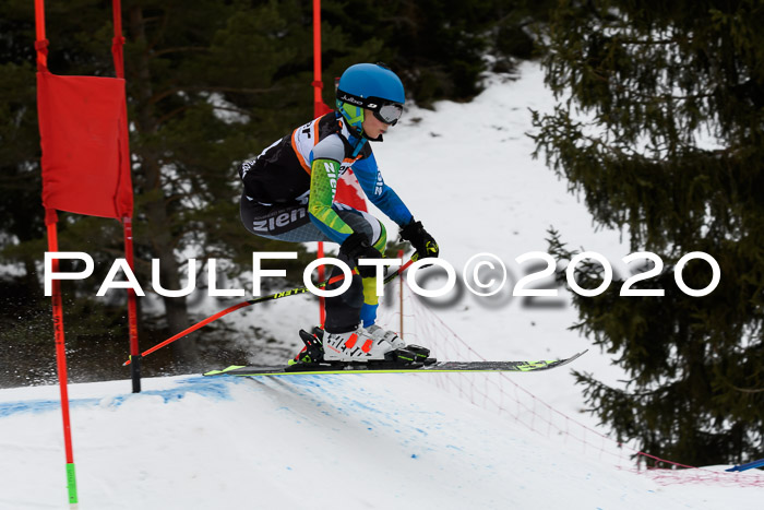 Ziener Cup WF u. U12 Kids Cross RSX 25.01.2020