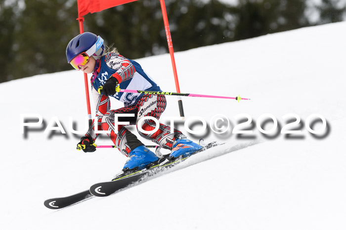 Ziener Cup WF u. U12 Kids Cross RSX 25.01.2020