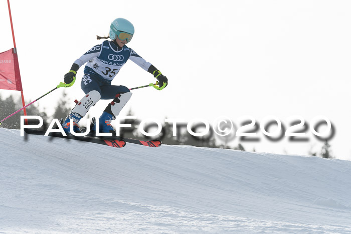 Ziener Kids-Cross M/OL U12 Race Cross II