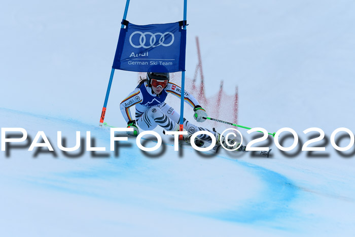 FIS + NJC Riesenslalom Damen + Herren 01.02.2020