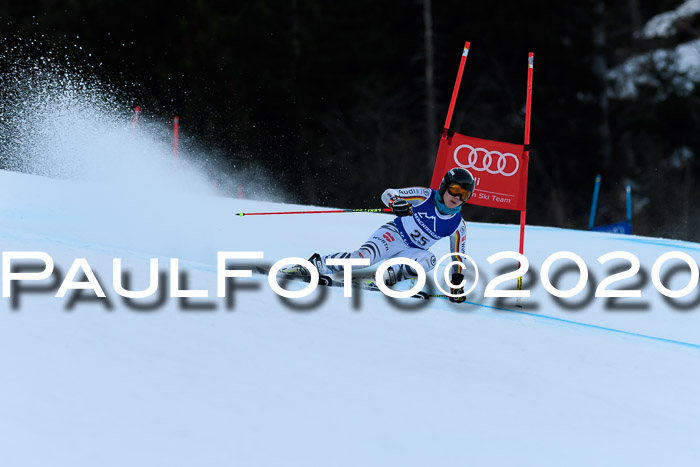 FIS + NJC Riesenslalom Damen + Herren 01.02.2020