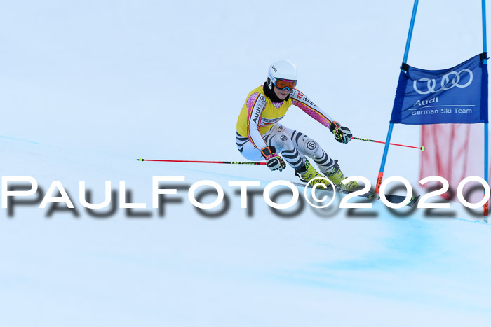 FIS + NJC Riesenslalom Damen + Herren 01.02.2020