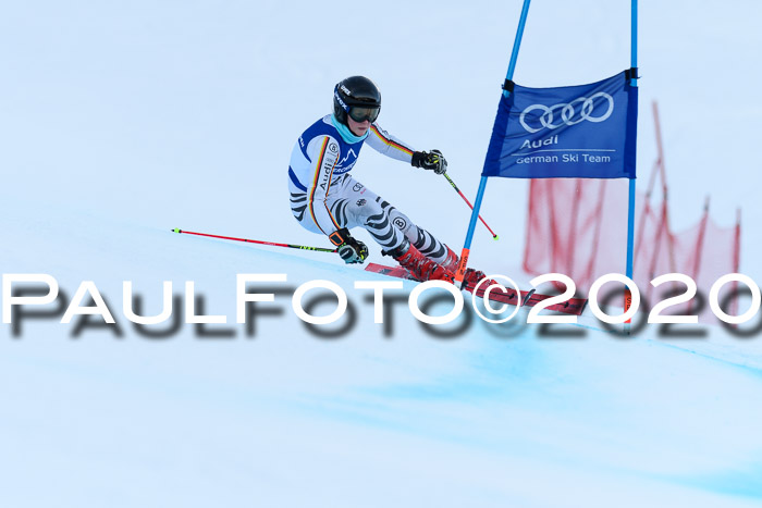 FIS + NJC Riesenslalom Damen + Herren 01.02.2020