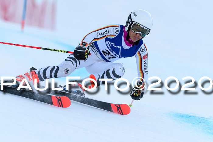 FIS + NJC Riesenslalom Damen + Herren 01.02.2020