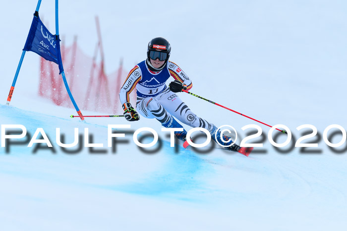 FIS + NJC Riesenslalom Damen + Herren 01.02.2020