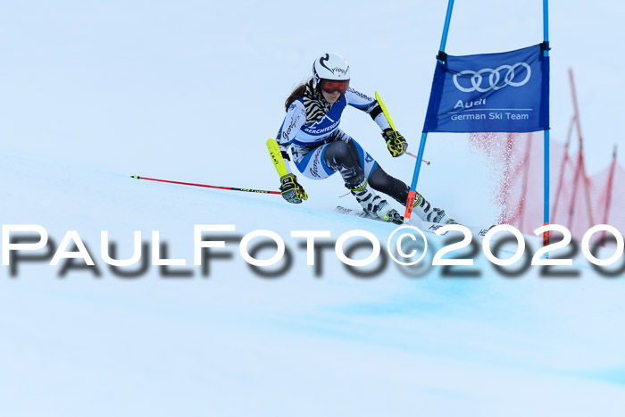 FIS + NJC Riesenslalom Damen + Herren 01.02.2020