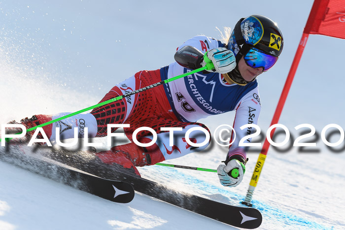 FIS + NJC Riesenslalom Damen + Herren 01.02.2020