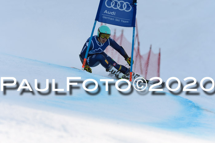 FIS + NJC Riesenslalom Damen + Herren 01.02.2020