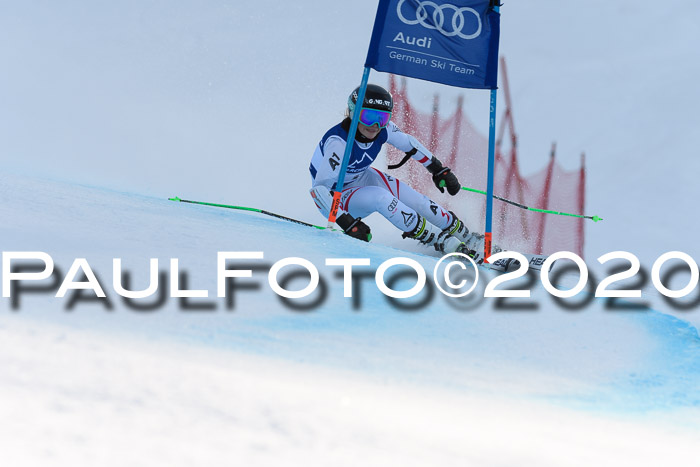 FIS + NJC Riesenslalom Damen + Herren 01.02.2020