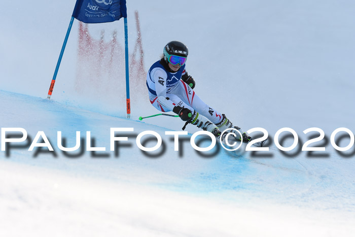 FIS + NJC Riesenslalom Damen + Herren 01.02.2020